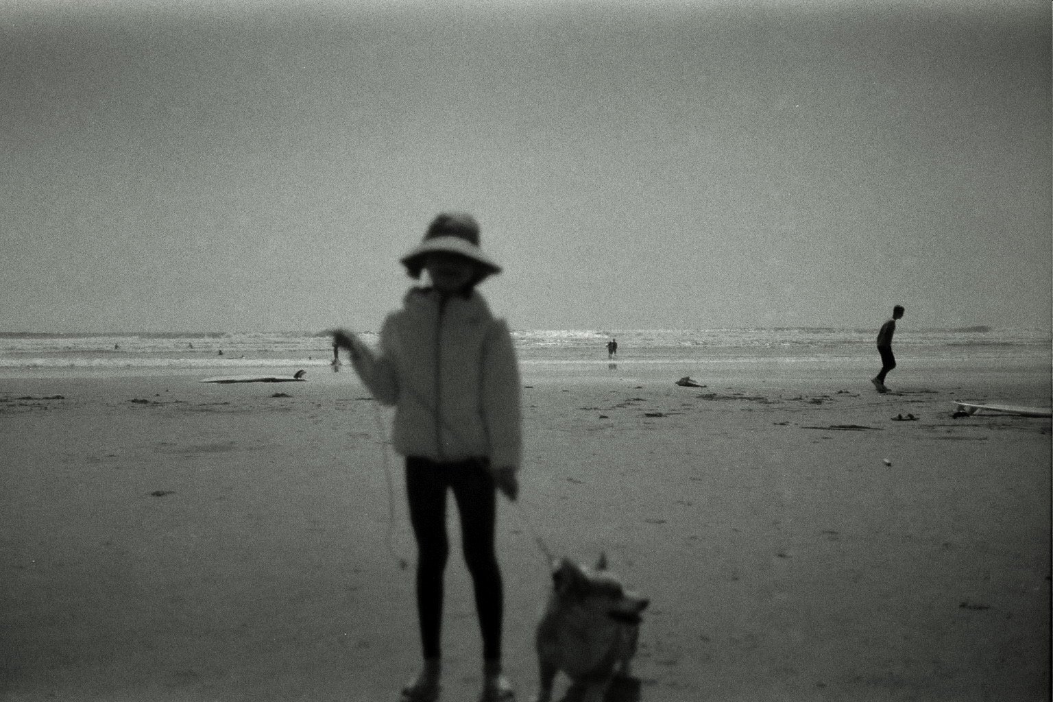 ---_0022.JPG