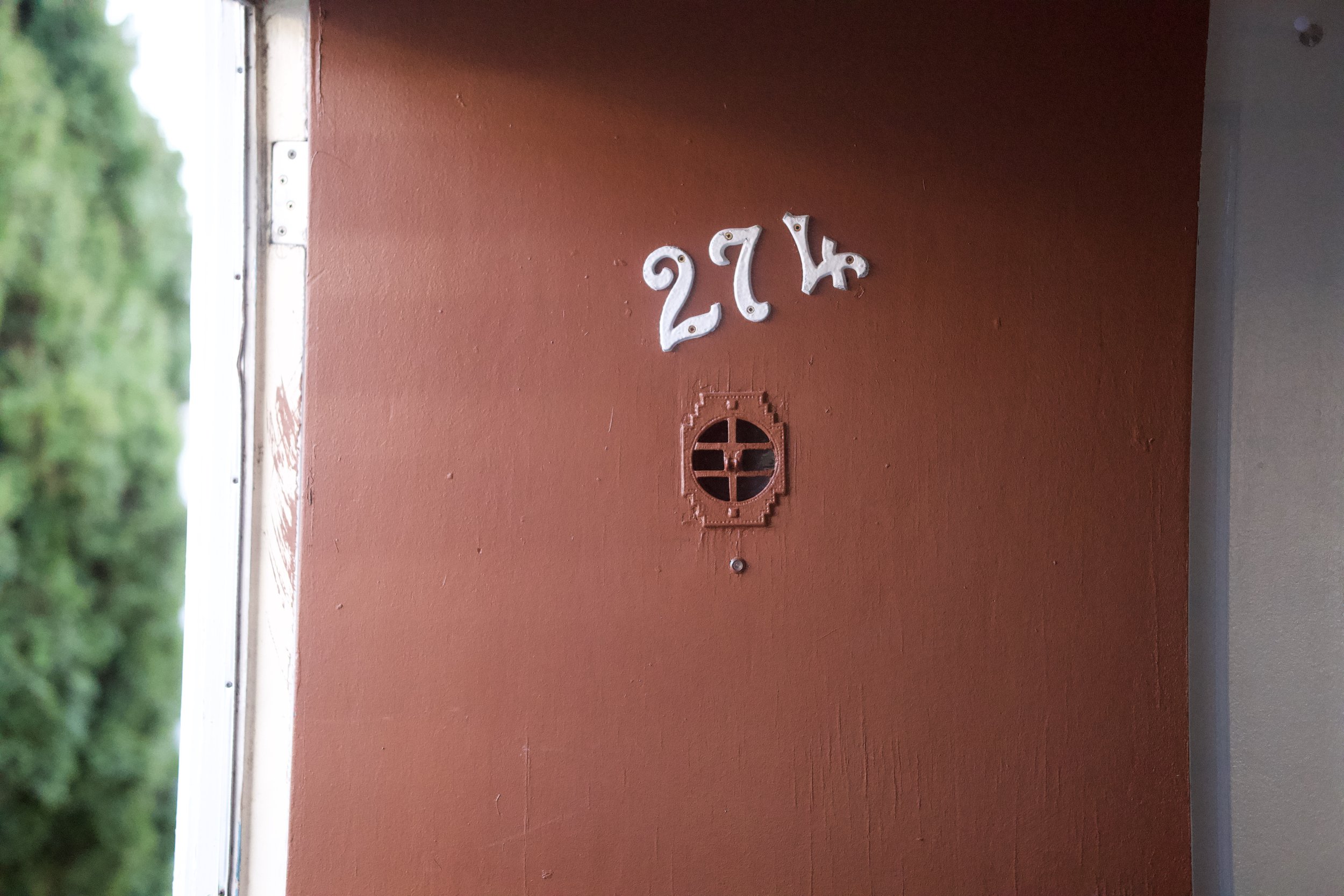 DSC02679.jpeg